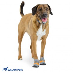 Walkinpets - Hundeschuhe  (2 stücke)